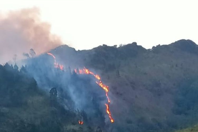 Area Gunung Ungaran di Kabupaten Semarang Jawa Tengah terbakar pada Kamis (12/10/2023)