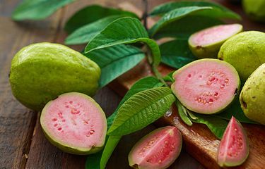 10 Manfaat Daun Jambu Biji untuk Kesehatan Tubuh Kita Halaman all ...