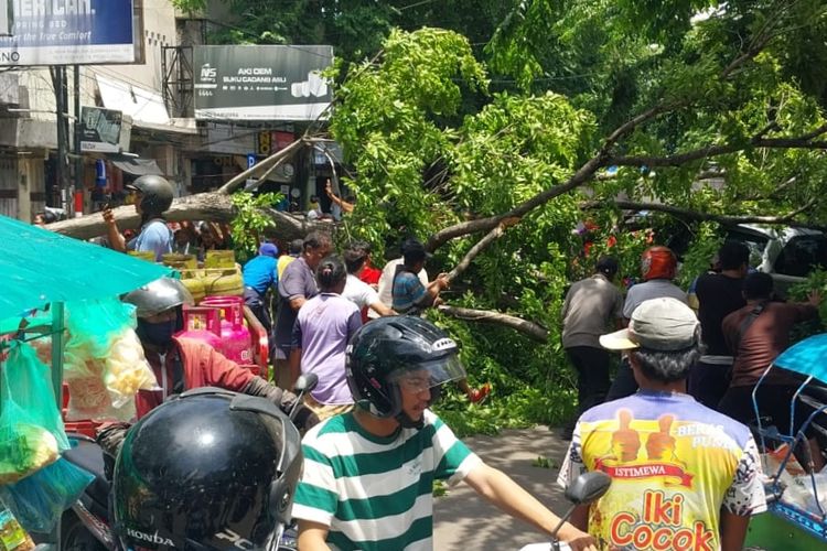 Pohon tumbang yang menimpa becak hingga membuat penumpangnya tewas.