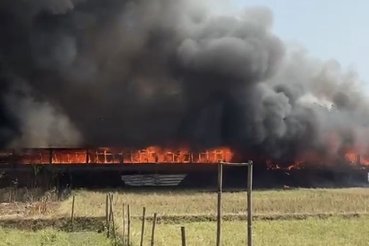 Kandang Ayam di Purwakarta Terbakar, 170 Ribu Ayam Terpanggang, Kerugian Ditaksir Capai Rp 5 M