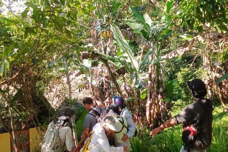 Wisatawan minat khusus mulai berdatangan ke Pulau Flores, NTT untuk mengamati burung-burung endemik Flores mulai dari Labuan Bajo sampai seluruh Pulau Flores, Sabtu, (1/10/2022). (KOMPAS.com/DOK PEMANDU WISATA BURUNG FLORES-SAMUEL RABENAK)
