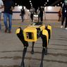 Robot Anjing Boston Dynamics Berkeliling Ingatkan Social Distancing