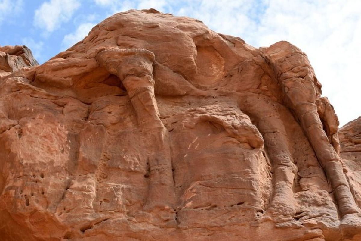 Seni pahatan bergambar unta tertua di dunia ditemukan di Arab Saudi. Bahkan, usia relief unta ini lebih tua dari Stonehenge dan Piramida Giza.