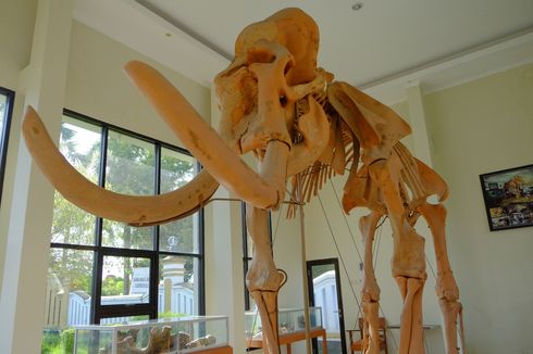 10 Tempat Wisata Anak di Blora, Bisa Lihat Replika Fosil Gajah Purba 