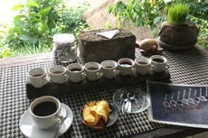 Lokasi Terbaik Menikmati Kopi Luwak di Bali, Ini Tempatnya...