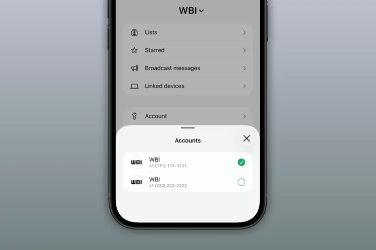 WhatsApp dual account di iOS/iPhone.