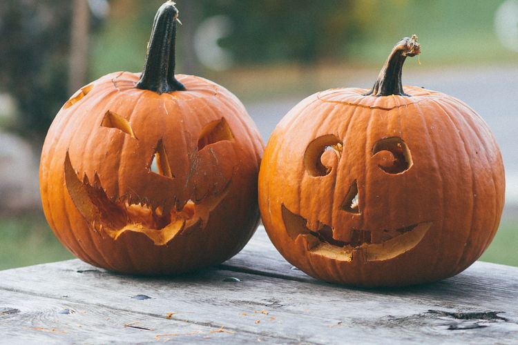 Foto Sejarah Labu Identik dengan Halloween