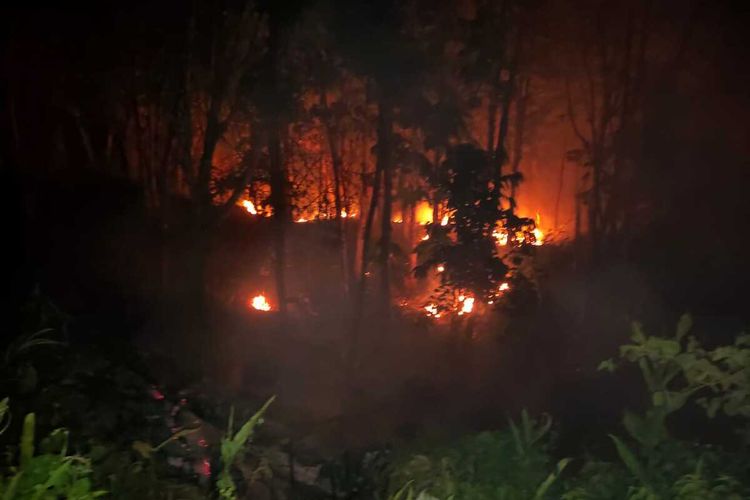 Kebakaran hutan dan lahan di Bengkulu