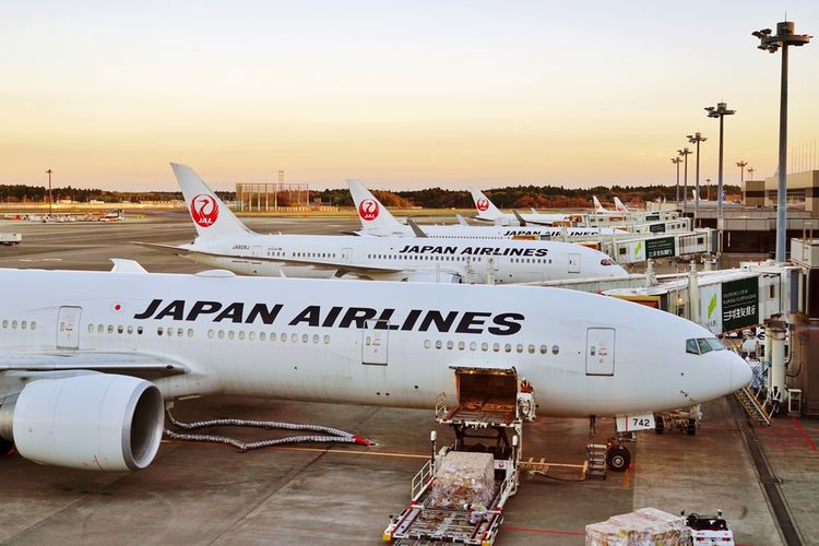 Ilustrasi Japan Airlines (JAL)