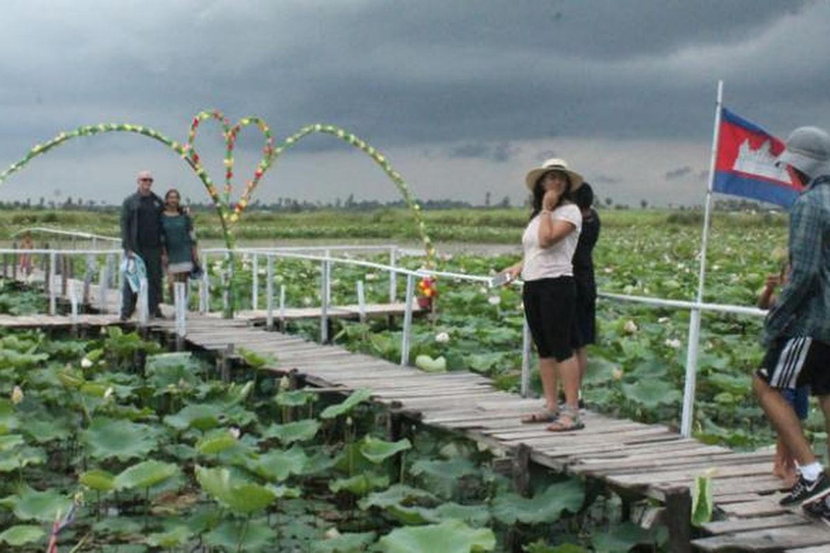 Turis sedang menikmati perkebunan bunga lotus di pinggir Kota Siem Reap, Kamboja.