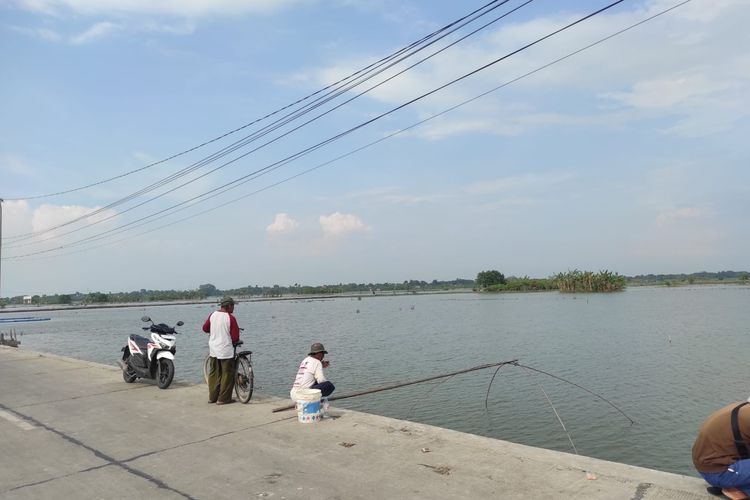 Petani Desa Sidoharjo Demak Terancam Gagal Tanam di MT2, Merugi Ratusan Juta 