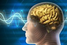 Kenapa Ukuran Otak Manusia Begitu Besar? Ilmuwan Pecahkan Misterinya