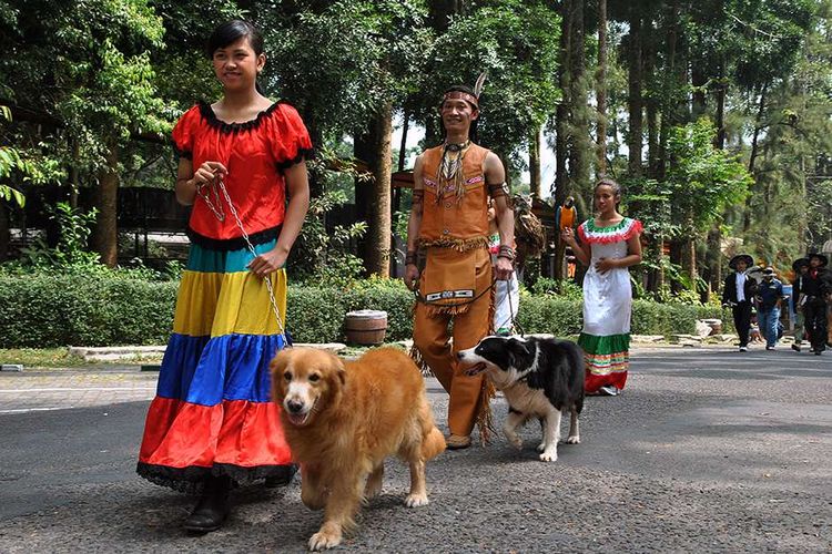 Sejumlah peserta mengikuti parade satwa di Taman Safari Indonesia (TSI), Cisarua, Kabupaten Bogor, Jawa Barat, Senin (12/8/2019). Parade satwa TSI Bogor yang digelar dalam rangka menyambut HUT ke-74 Kemerdekaan RI tersebut diharapkan dapat menggugah pengunjung untuk mencintai dan menyayangi satwa serta daya tarik untuk meningkatkan jumlah kunjungan wisatawan.