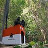 7 Ekor Lutung Jawa Dilepasliarkan di Hutan Malang Selatan