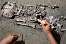 Ditemukan, Kerangka Manusia Berusia 18 Abad di Karawang