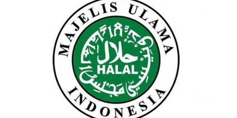 Berikut Biaya Sertifikat Halal Dan Cara Mendapatkannya Halaman All Kompas Com