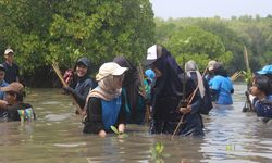 Komitmen pada Pembangunan Berkelanjutan, Universitas Pertamina Tembus Times Higher Education Impact Rankings