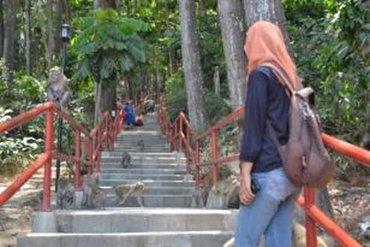 Sejumlah kera ekor panjang berkeliaran di sepanjang tangga naik menuju kawasan wisata  Gunung Tidar Kota Magelang Jawa Tengah, Senin (2/11/2015).