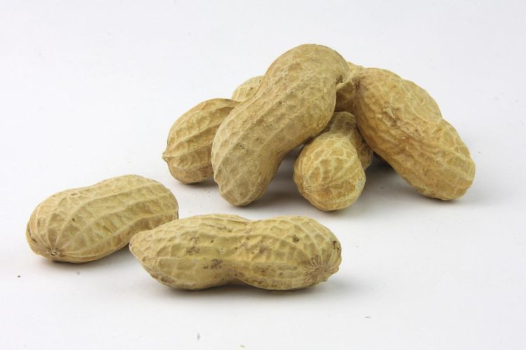 Ilustrasi efek samping kacang tanah jika dimakan berlebihan, dapat mengganggu penyerapan nutrisi.