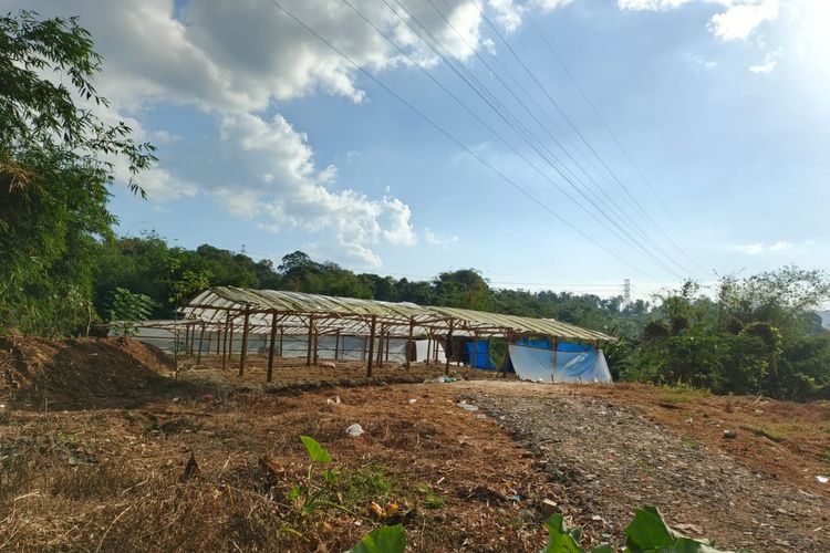 Usaha Penjemuran Bulu Ayam di Semarang Diprotes Warga Salatiga, seperti Mencium Bangkai
