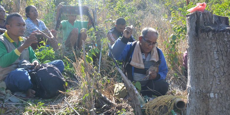 Tradisi Karong Woja Wole merupakan tradisi mengantar padi sebagai ratu alam semesta di Suku Gunung dan suku-suku lain yang tersebar di kawasan selatan Kota Komba, Kabupaten Manggarai Timur, Flores, Nusa Tenggara Timur. 