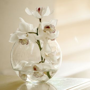 Ilustrasi vas bunga kaca. 