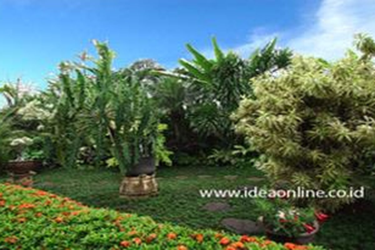 Taman tropis. Lokasi: Rumah Endang Lestari, Ciledug, Tangerang