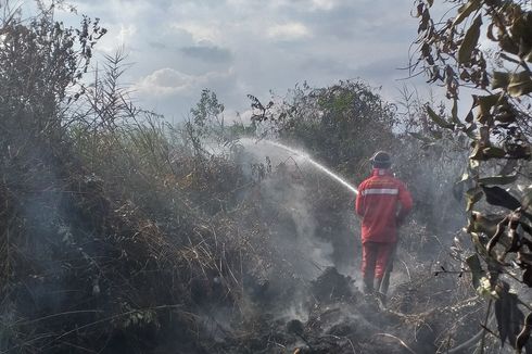 Empat Hari Karhutla Siak Riau, Tim Gabungan Baru Padamkan Dua Titik