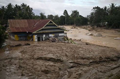 Terseret Banjir Bandang, Pria di Luwu Utara Ini Selamat Usai Peluk Pohon Kelapa