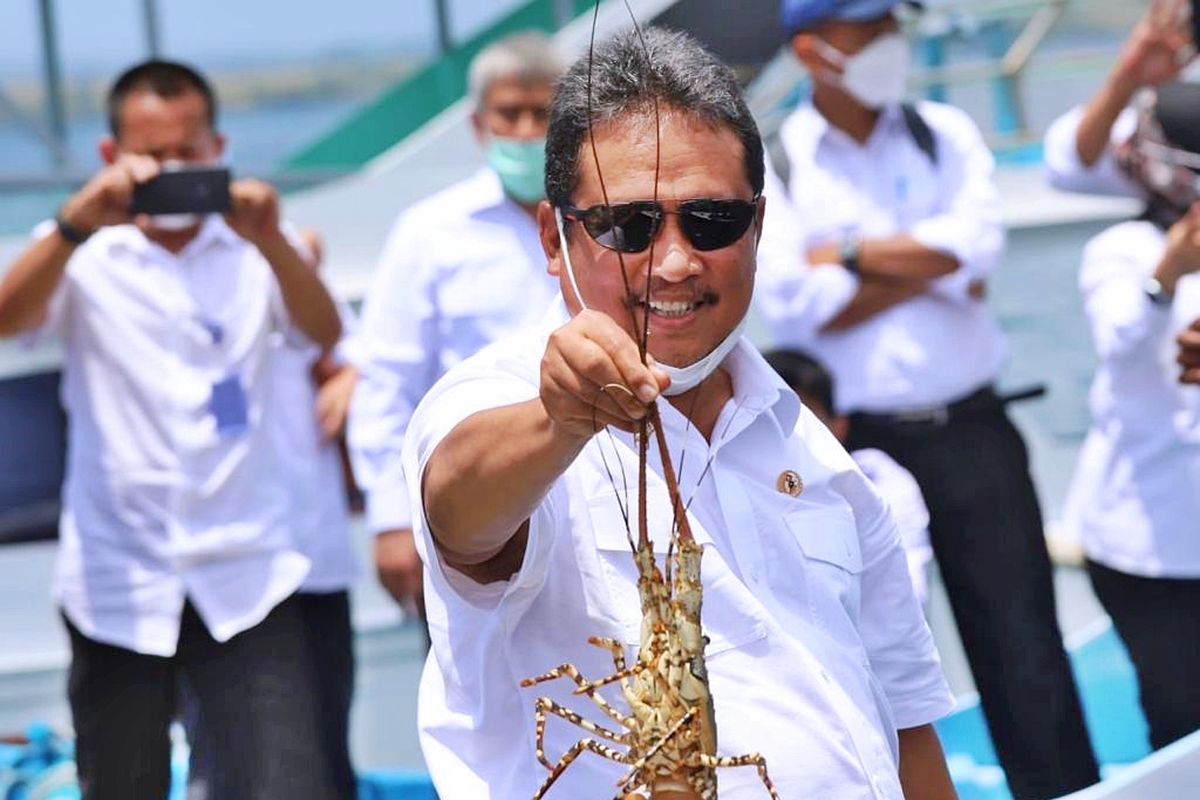 Menteri Kelautan dan Perikanan (Menteri KP) Sakti Wahyu Trenggono mengeluarkan Peraturan Menteri (Permen) KP Nomor 17 Tahun 2021 tentang pengelolaan lobster.