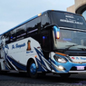 PO Haryanto Luncurkan Bus Baru Rakitan Morodadi Prima