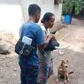 Disper Sikka soal Rabies: Belum Ada Penambahan Jumlah Kasus Gigitan HPR