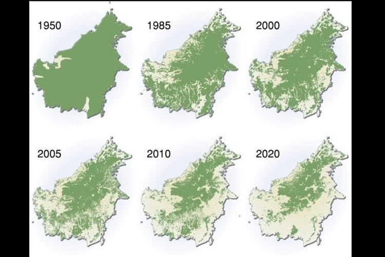 Gambar wilayah hutan Kalimantan yang hilang. Gambar ini banyak beredar di media sosial. Kerusakan hutan disebut berkaitan dengan banjir yang baru-baru ini melanda Kalimantan Selatan.