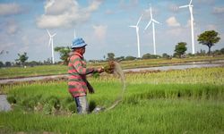 Hadapi Ancaman Krisis Pangan, Kementan Perkuat Swasembada Beras dan Subtitusi Pangan