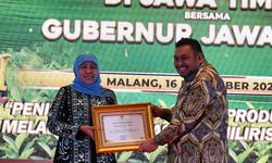 Kementan Percepat Masa Tanam untuk Kembangkan Hilirisasi Perkebunan