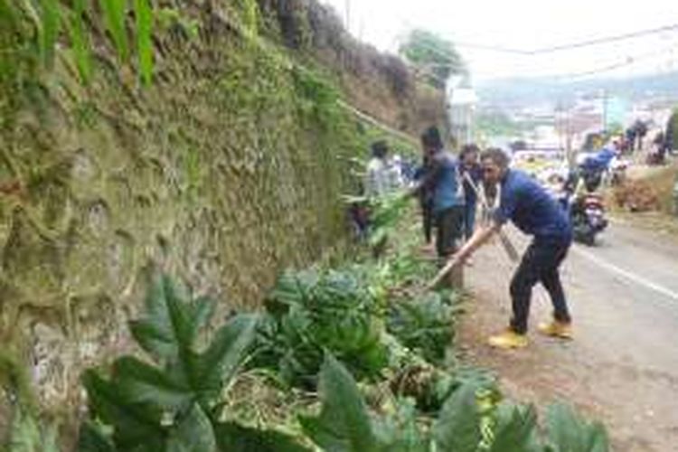 Warga Desa Dieng Wetan, Kecamatan Kejajar, Kabupaten Wonosobo, Jawa Tengah, secara sukarela membersihkan jalan menuju obyek wisata dataran tinggi Dieng, Jumat (3/6/2016).