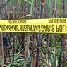 Warga di Malang Temukan Kerangka Manusia di Tengah Lahan Tebu