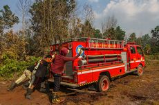 Petugas Berupaya Padamkan Api yang Mengarah ke Habitat Harimau Sumatera