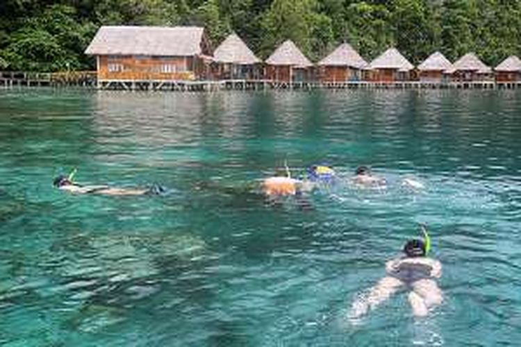 Pengunjung menikmati snorkeling di perairan dangkal tak jauh dari pondok Ora Beach Resort, Desa Saleman, Kecamatan Seram, Maluku Tengah, Maluku.