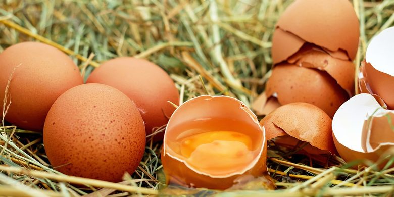 Sedang Viral, Telur Ayam CageFree Mulai Dilirik Restoran, Apa Itu?