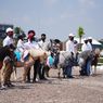 Equinara Pulomas Open 2020, Kompetisi Pony Club Rally Turut Dipertandingkan