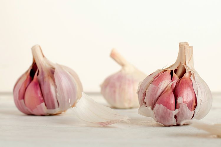 Ilustrasi silver skin garlic