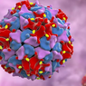 Virus Polio Ditemukan pada Limbah di New York, Ini Gejala yang Bisa Muncul