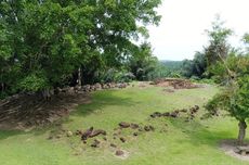 Sejarah Candi Pulo di Sumatera Utara