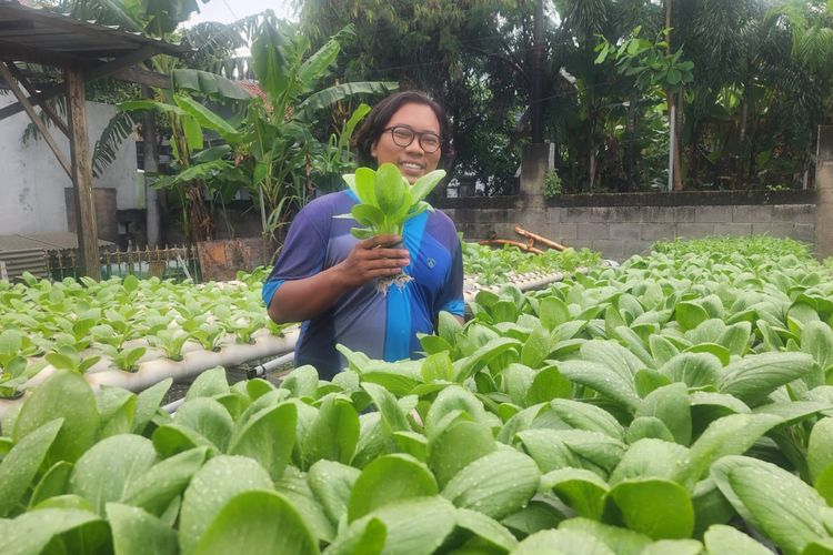 Tiga Pemuda Pasuruan Sulap Lahan Kosong Jadi Kebun Hidroponik