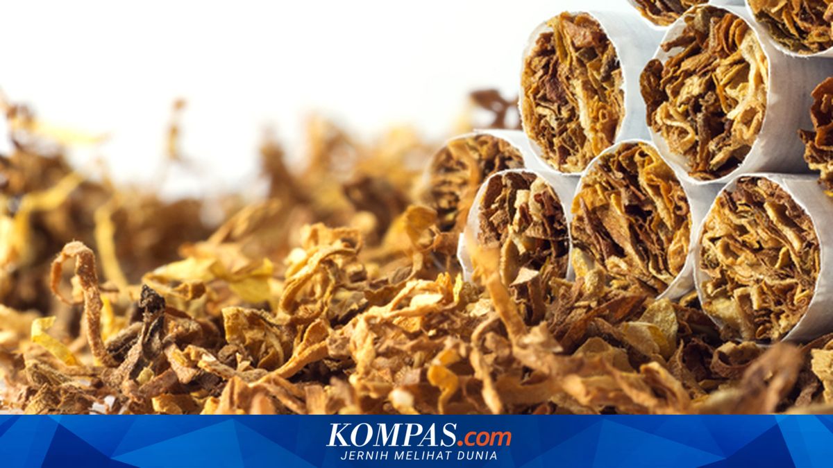 Jual Rokok Eceran Bakal Dilarang, Pengamat: Niatnya Menyehatkan tapi ...