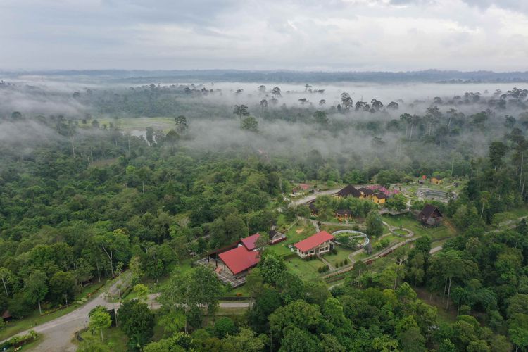 Kebun Raya Balikpapan, Kalimantan Timur membentang seluas 309 hektar