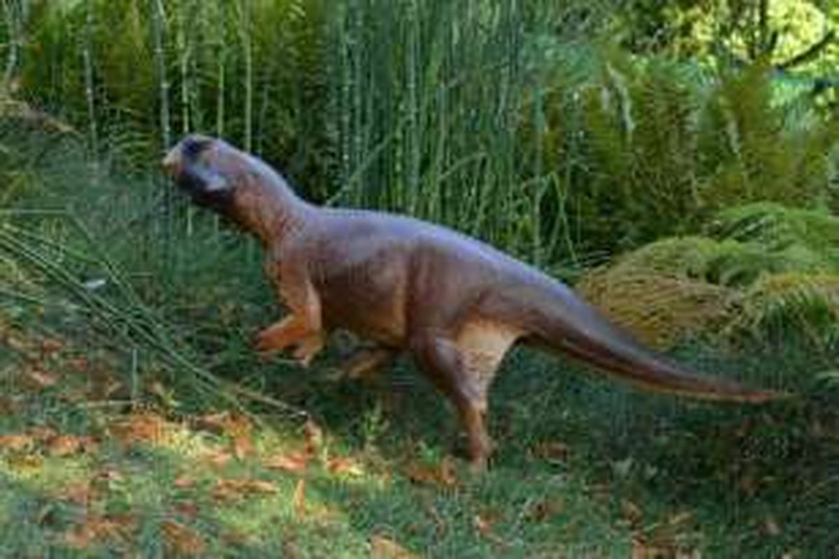 Hasil rekonstruksi Psittacosaurus. Robert Nicholls berhasil membuat rekonstruksi dinosaurus yang paling mirip aslinya.