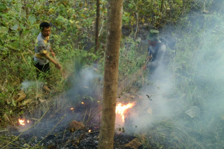 Warga memadamkan api yang membakar hutan Poko, Kecamatan Jambon, Kabupaten Ponorogo, Jawa Timur, Jumat ( 7 / 7 / 2017) 