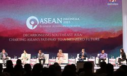 Dukung Agenda FOLU Net Sink Indonesia 2030, Upaya APRIL Group untuk Capai NZE